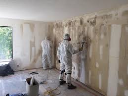 Mold Odor Removal Services in Clayton, CA